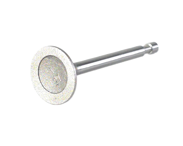 Intake & Exhaust Valve