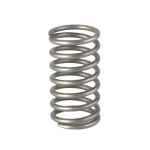 Valve Spring