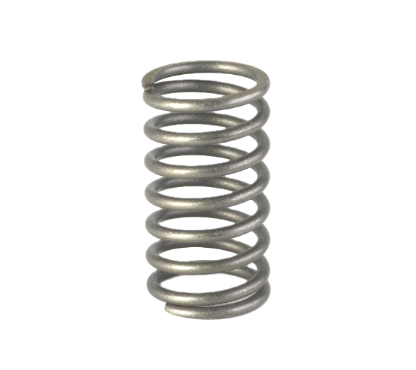 Valve Spring